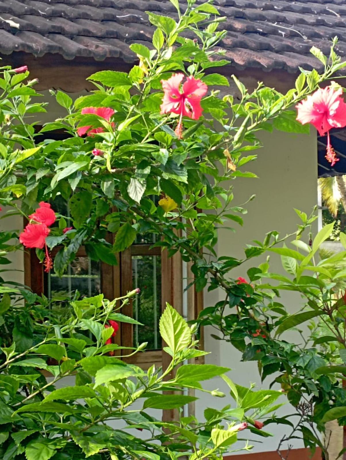 Gramam Homestay, Cochin Kochi Exterior foto